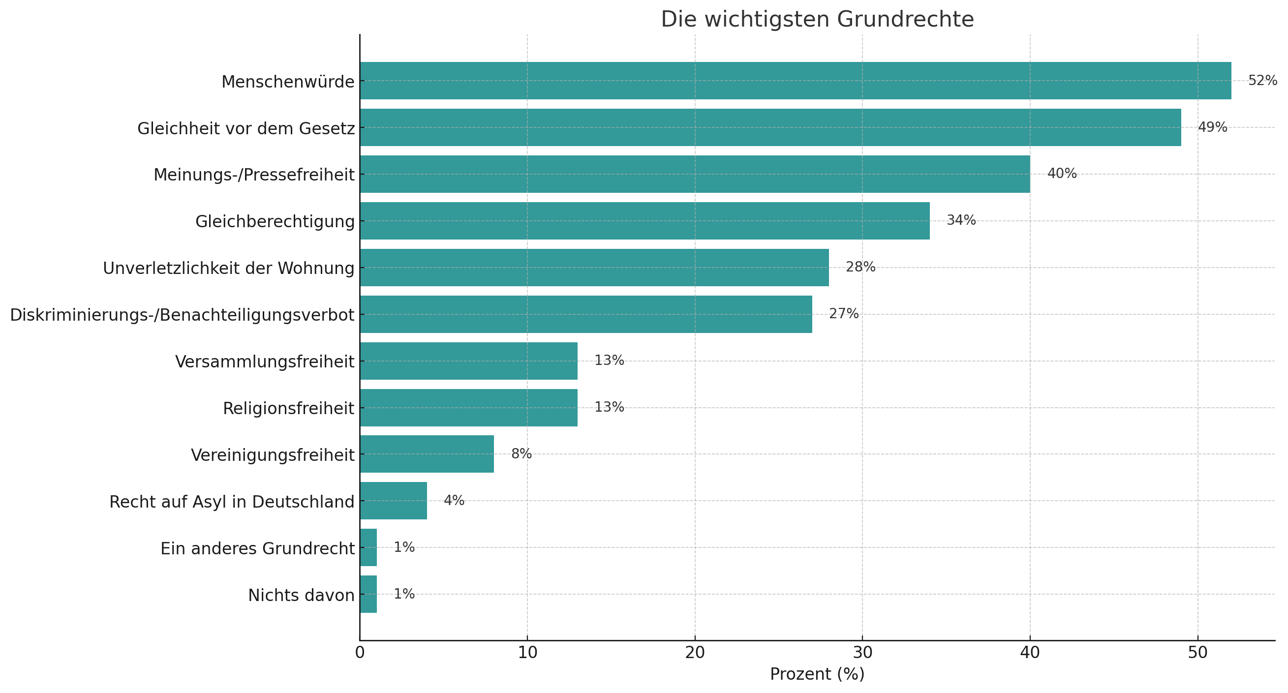 Wichtigsten Grundrechte Befragung