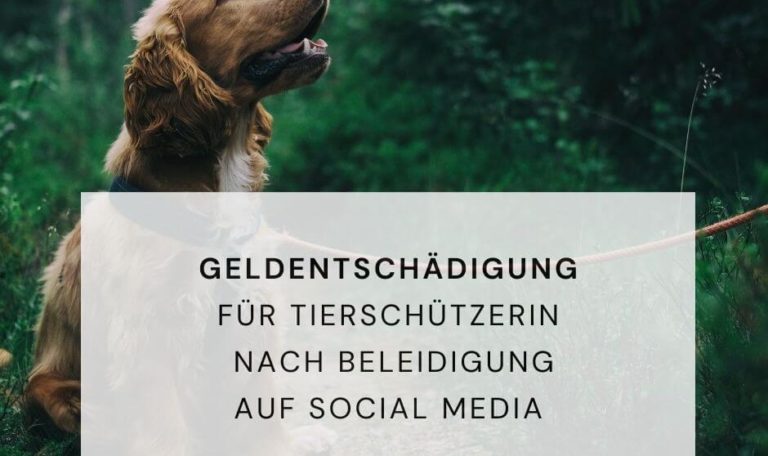 Geldentschädigung Tierschützerin Beleidigung Persönlichkeitsrecht Social Media